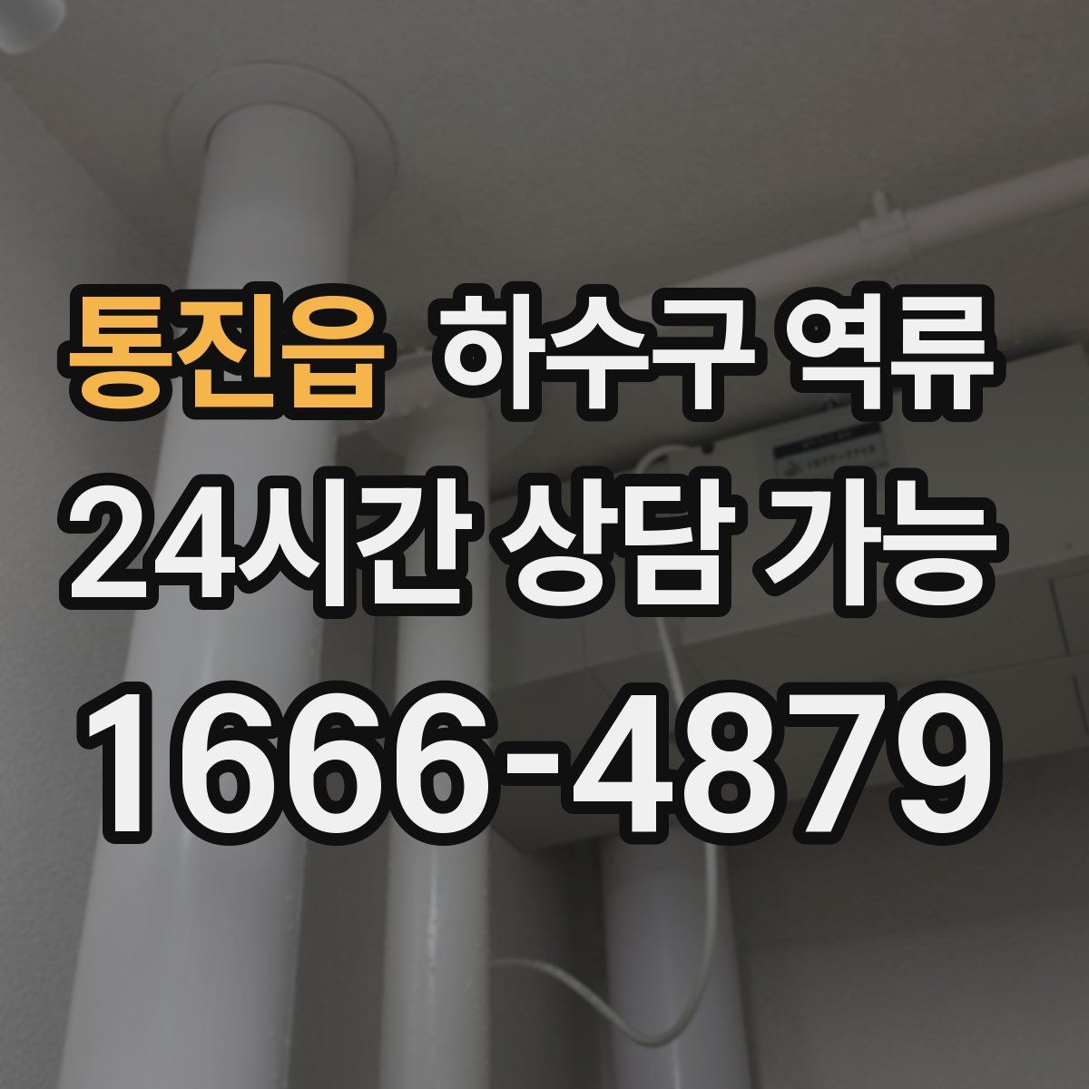 통진읍 하수구 역류