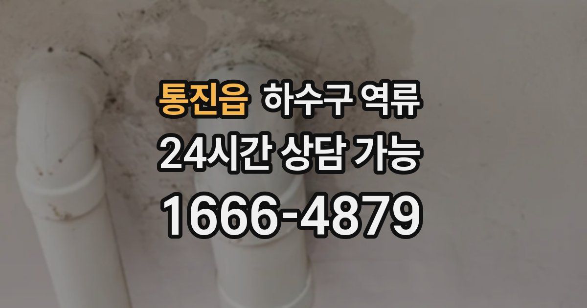 통진읍 하수구 역류