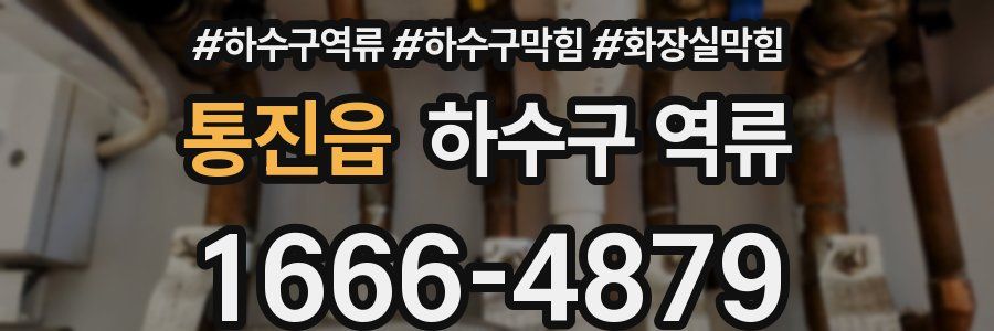 통진읍 하수구 역류