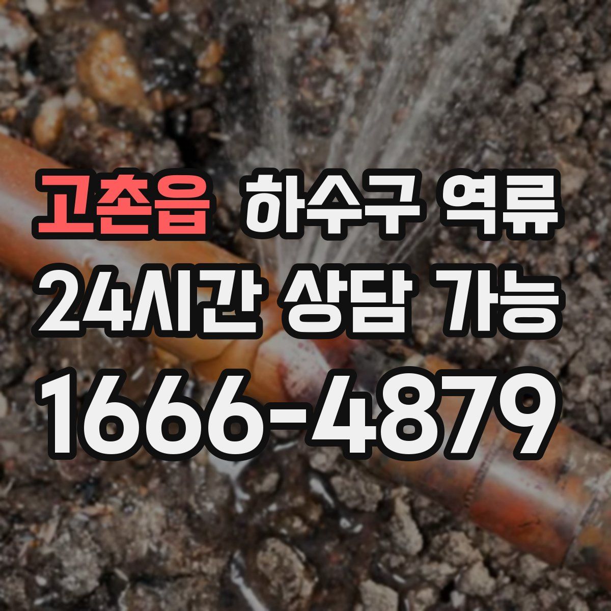 고촌읍 하수구 역류