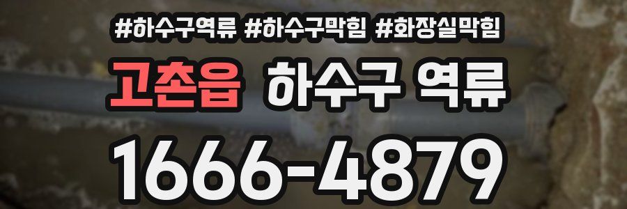 고촌읍 하수구 역류