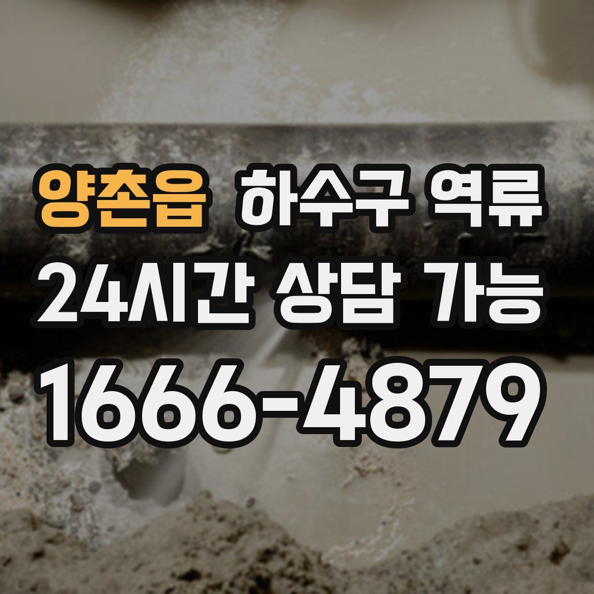 양촌읍 하수구 역류