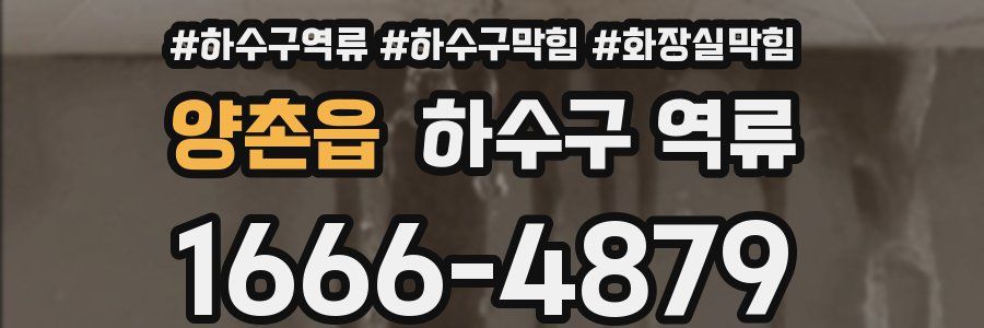 양촌읍 하수구 역류