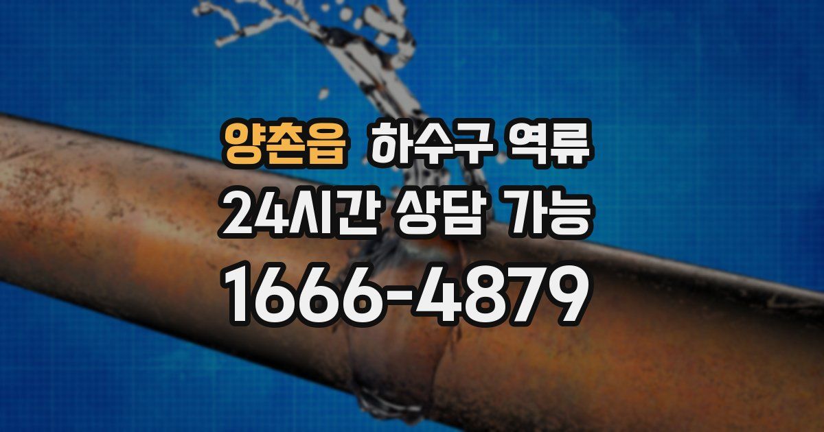 양촌읍 하수구 역류
