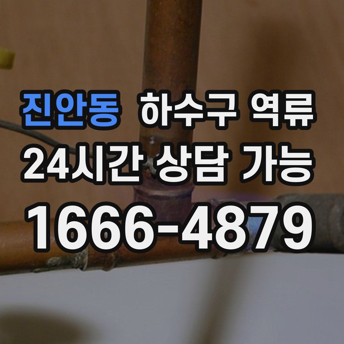 진안동 하수구 역류