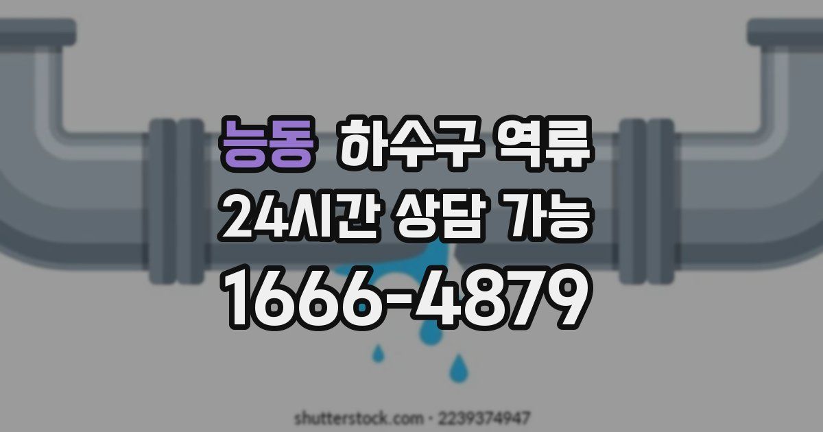 능동 하수구 역류