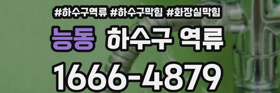 능동 하수구 역류