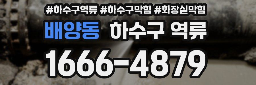 배양동 하수구 역류