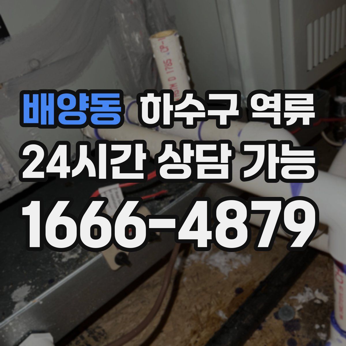 배양동 하수구 역류