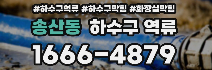 송산동 하수구 역류