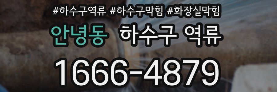 안녕동 하수구 역류