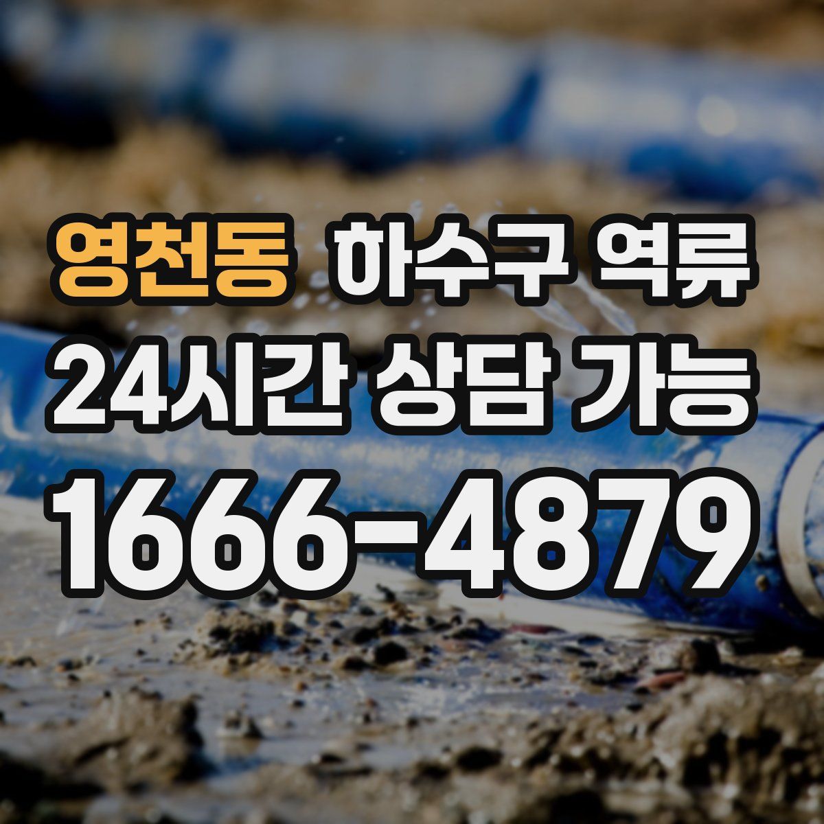 영천동 하수구 역류