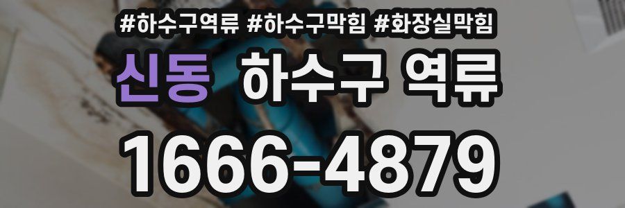 신동 하수구 역류