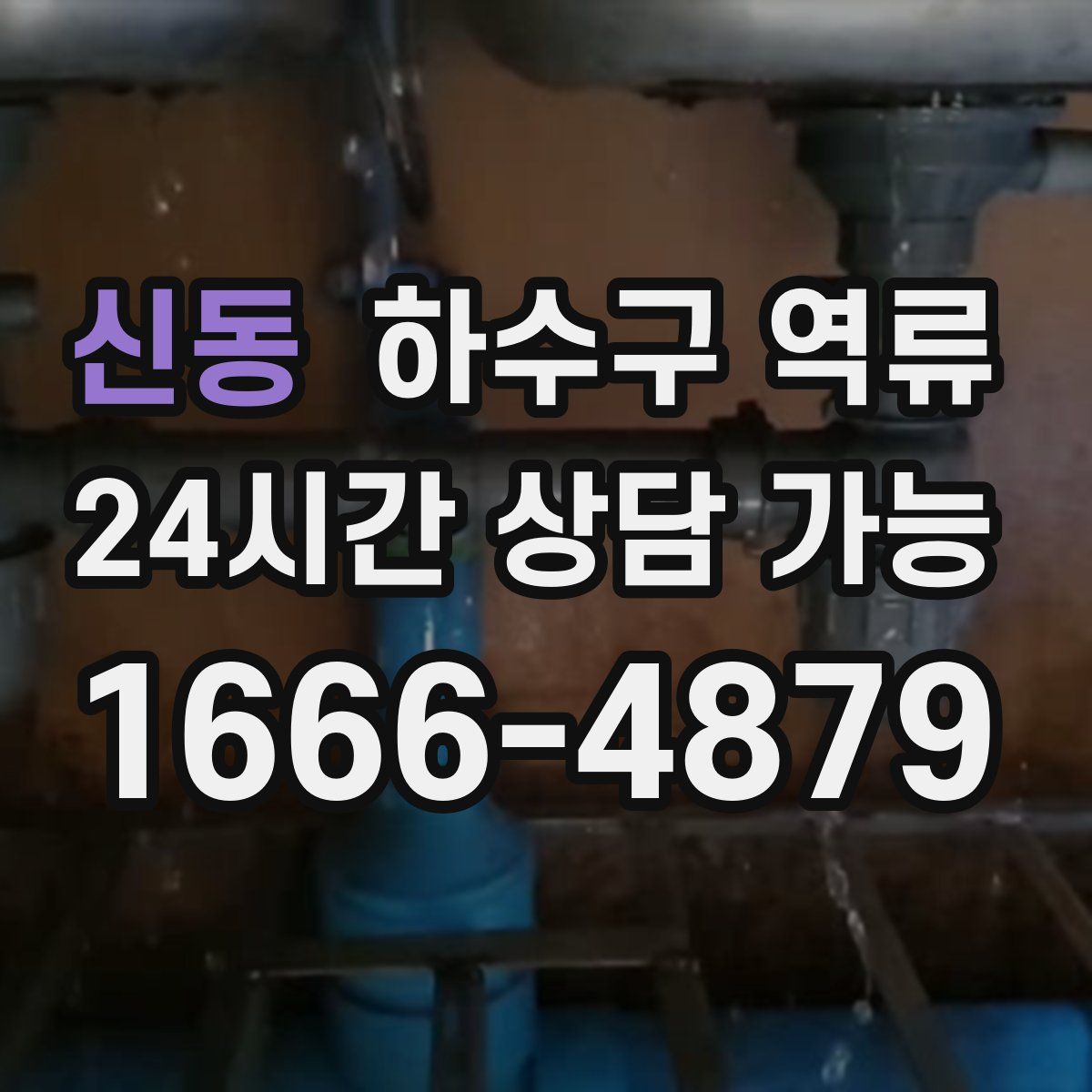 신동 하수구 역류