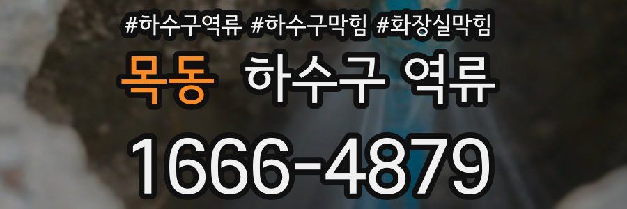 목동 하수구 역류