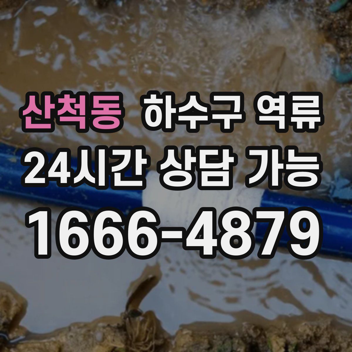 산척동 하수구 역류