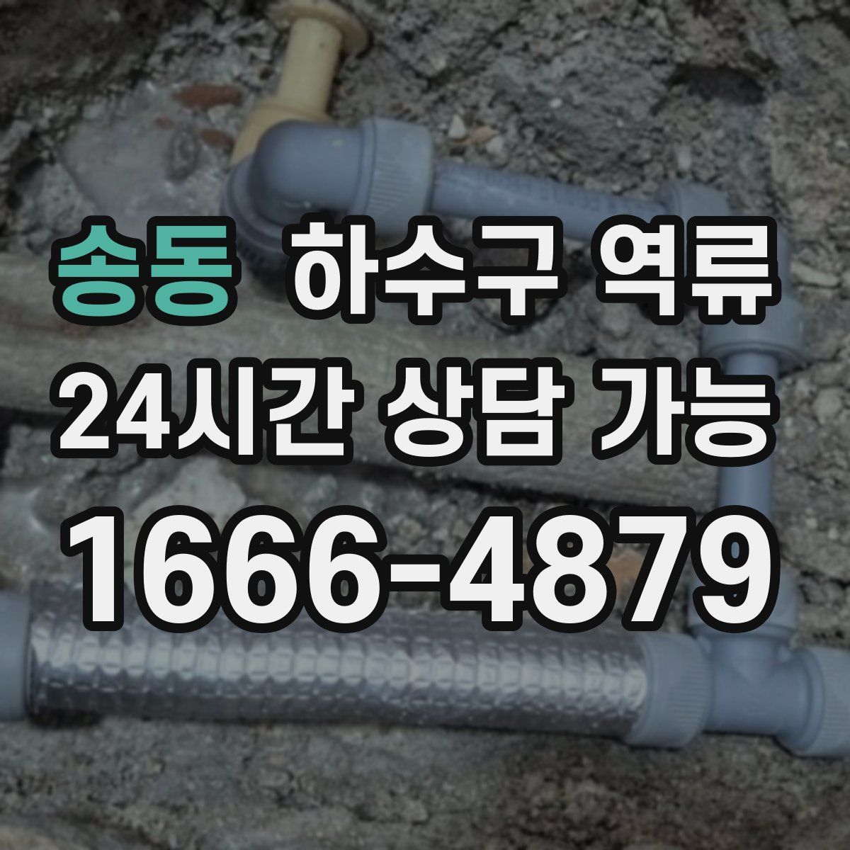 송동 하수구 역류