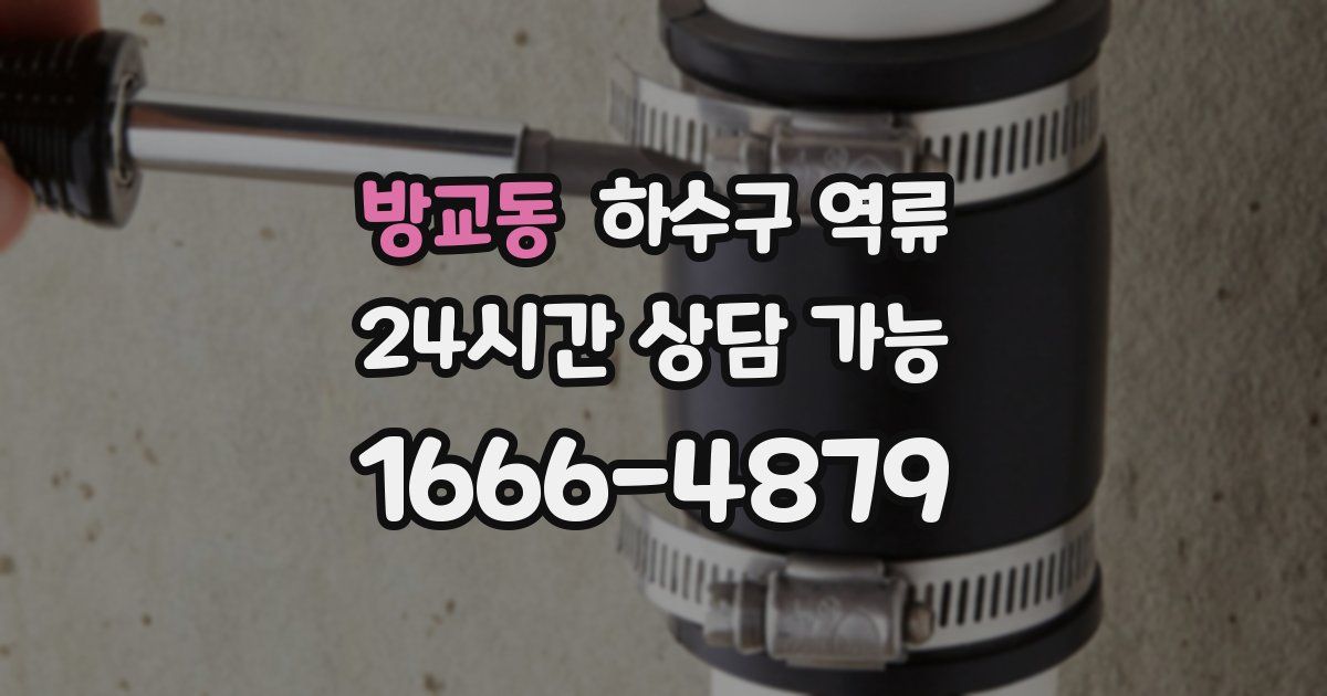 방교동 하수구 역류