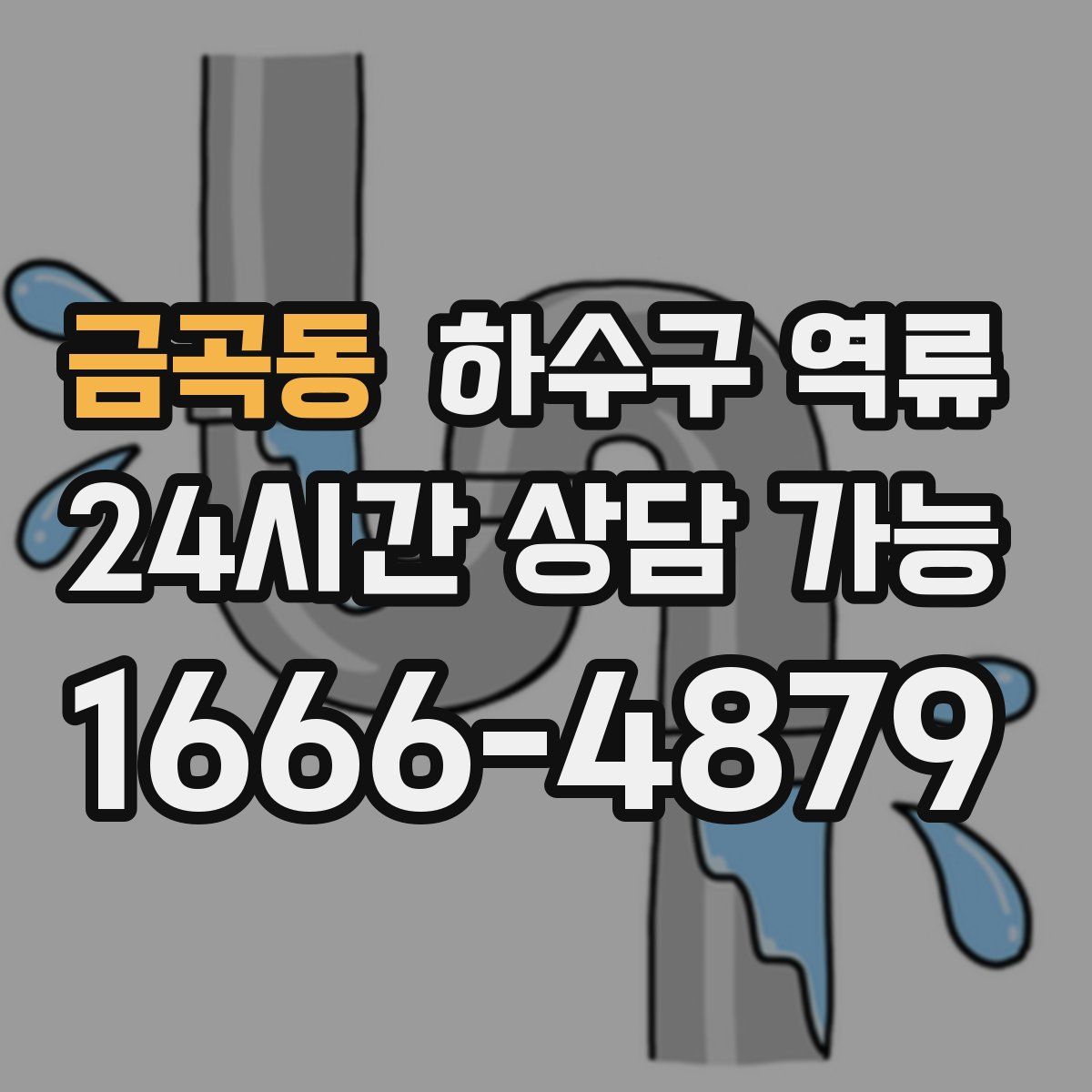 금곡동 하수구 역류