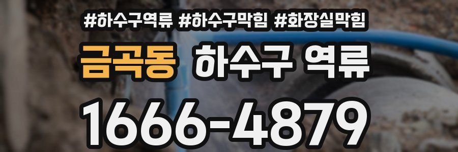 금곡동 하수구 역류