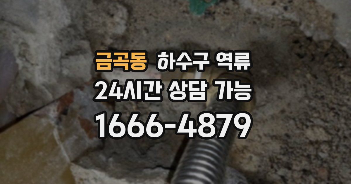 금곡동 하수구 역류