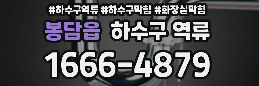 봉담읍 하수구 역류