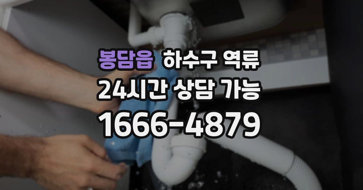 봉담읍 하수구 역류
