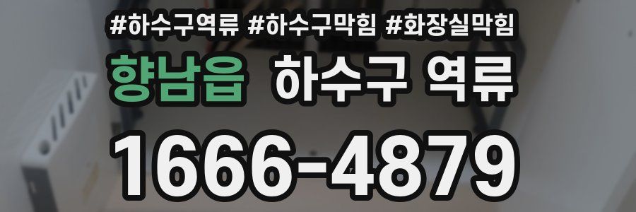 향남읍 하수구 역류