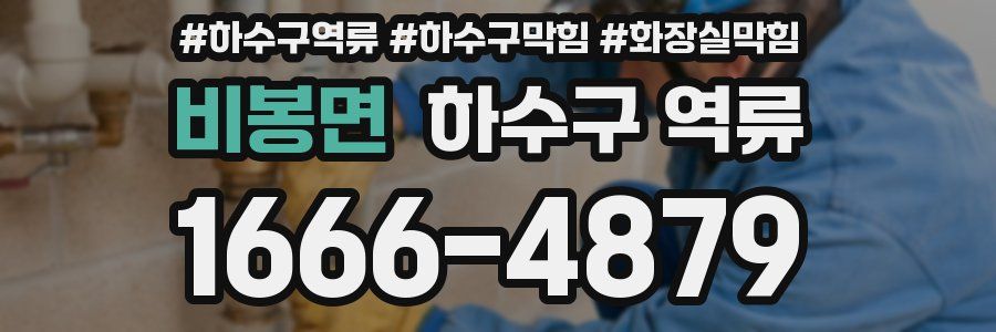 비봉면 하수구 역류