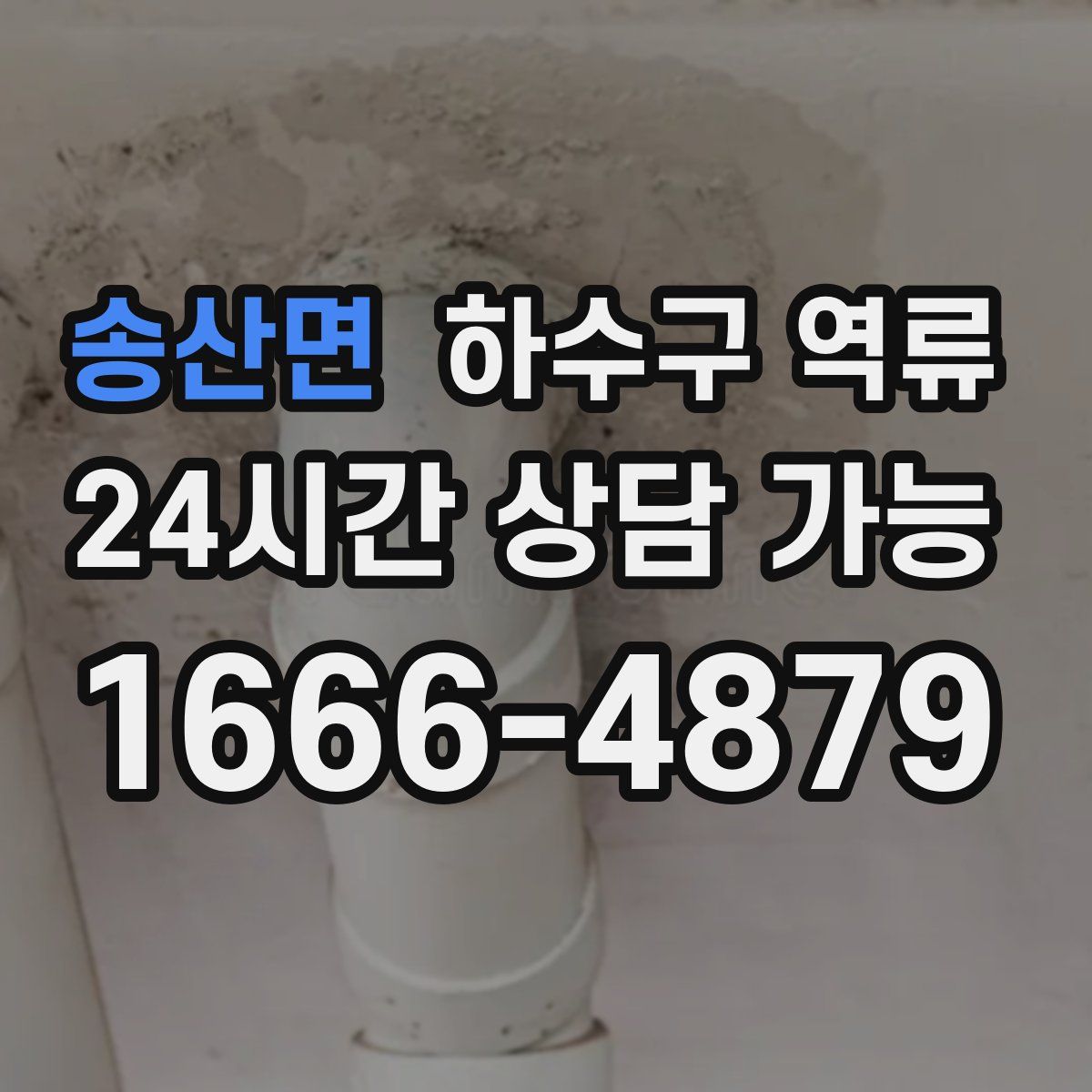 송산면 하수구 역류