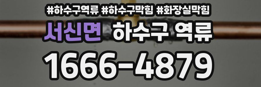 서신면 하수구 역류