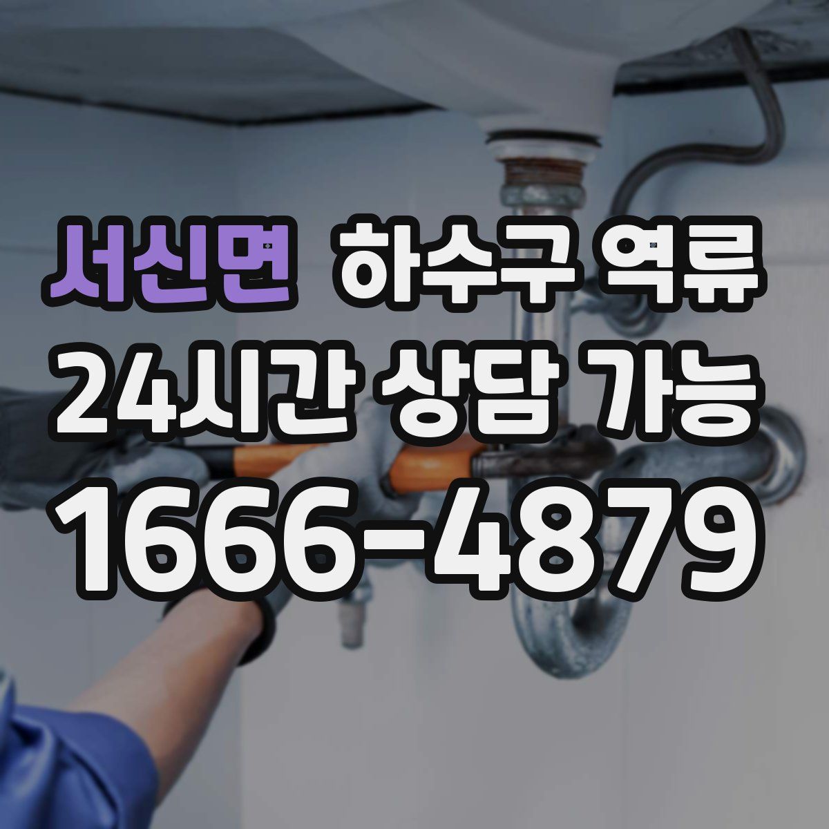 서신면 하수구 역류