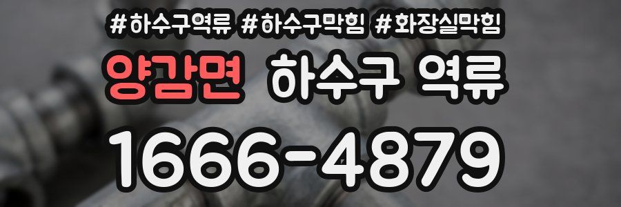 양감면 하수구 역류