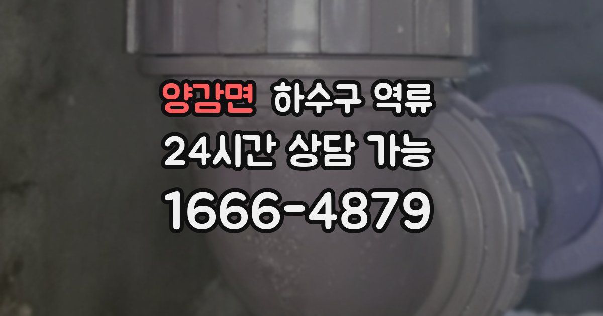 양감면 하수구 역류