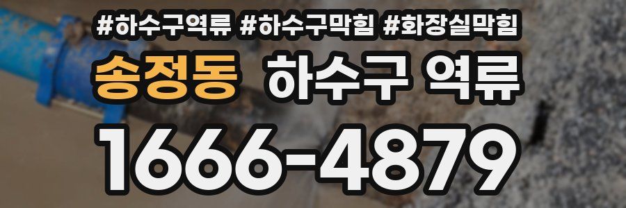 송정동 하수구 역류
