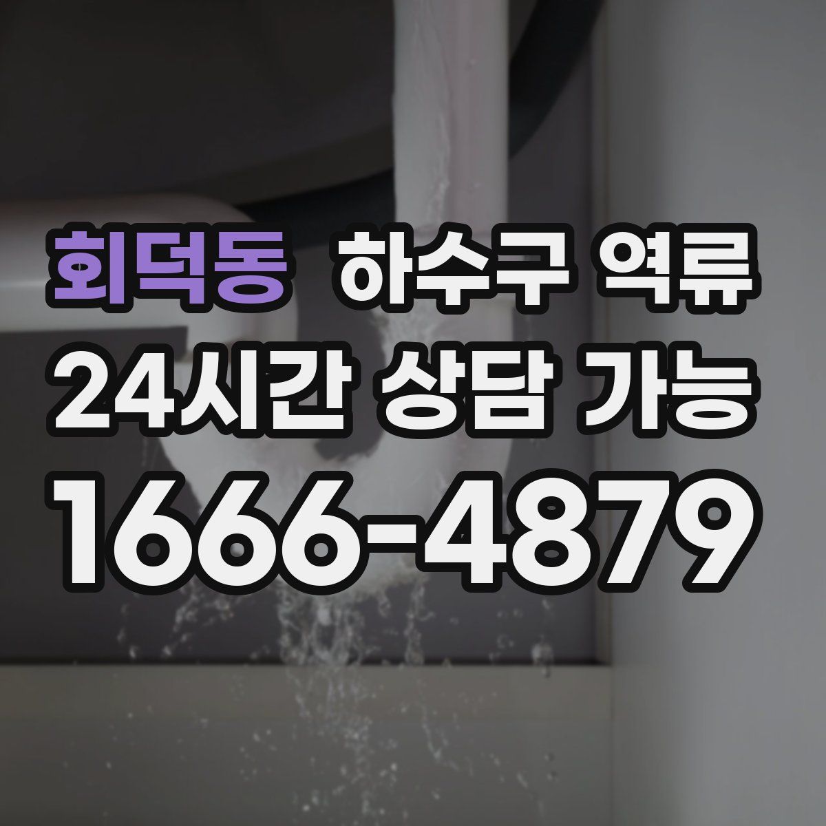 회덕동 하수구 역류