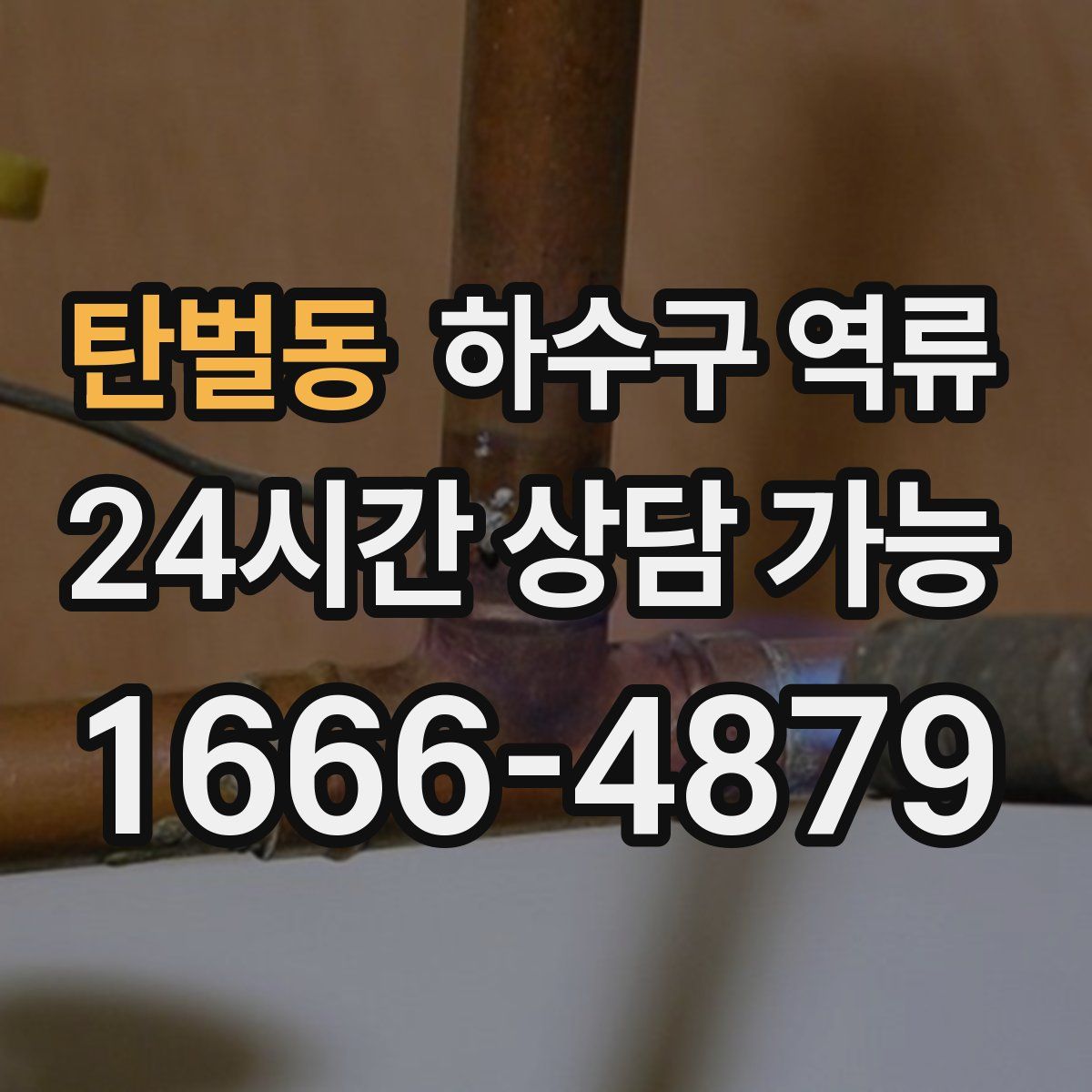 탄벌동 하수구 역류