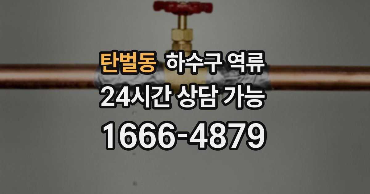 탄벌동 하수구 역류