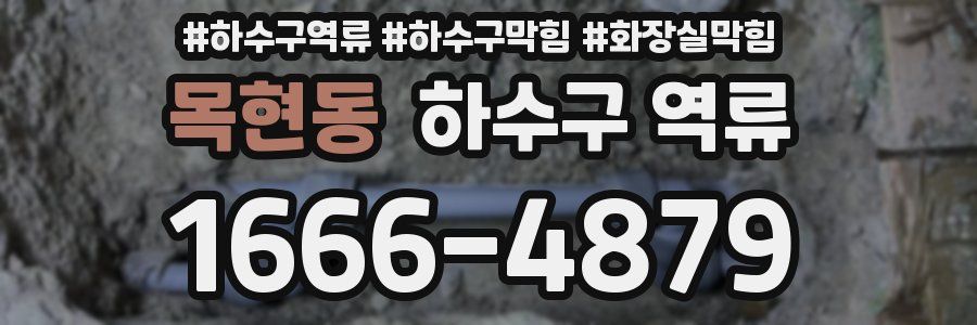 목현동 하수구 역류