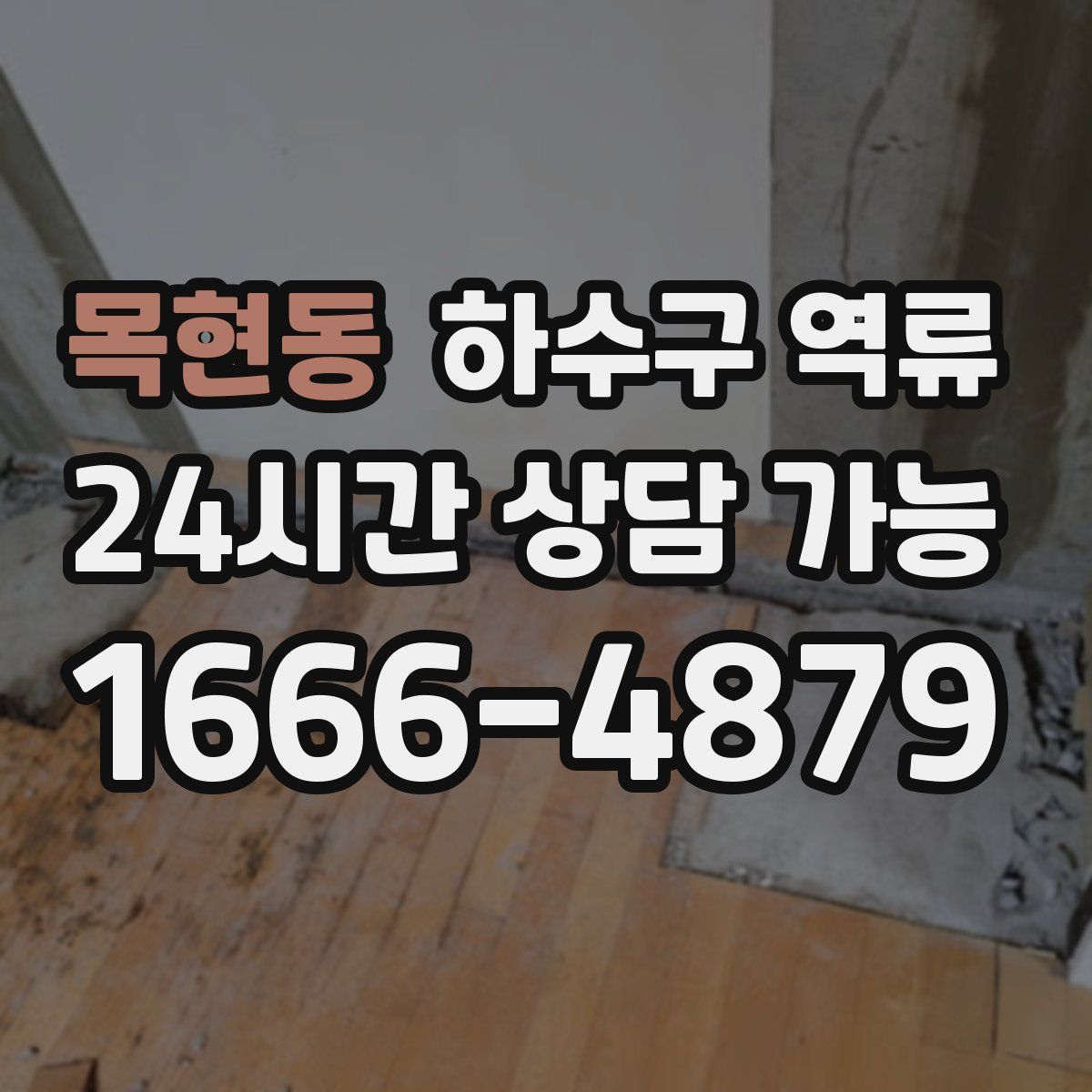 목현동 하수구 역류