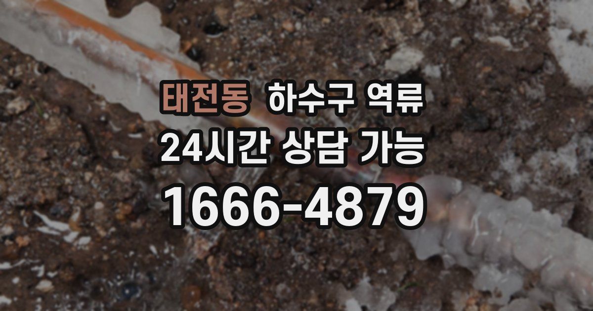 태전동 하수구 역류