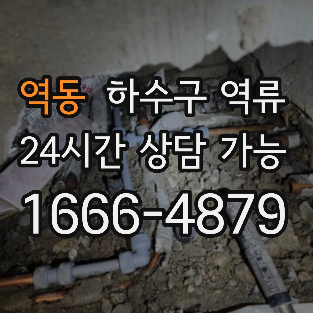 역동 하수구 역류