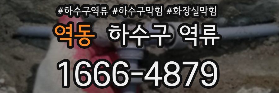 역동 하수구 역류