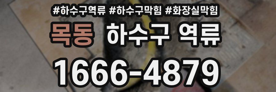 목동 하수구 역류