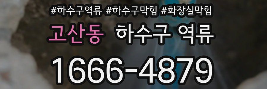 고산동 하수구 역류