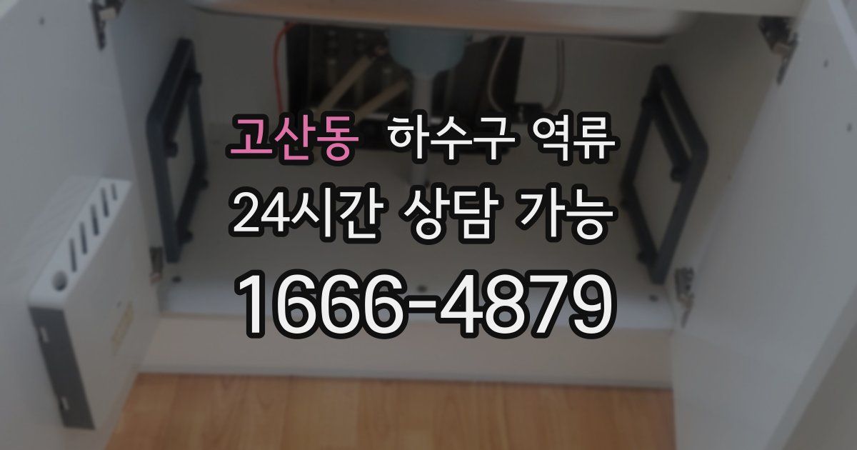 고산동 하수구 역류