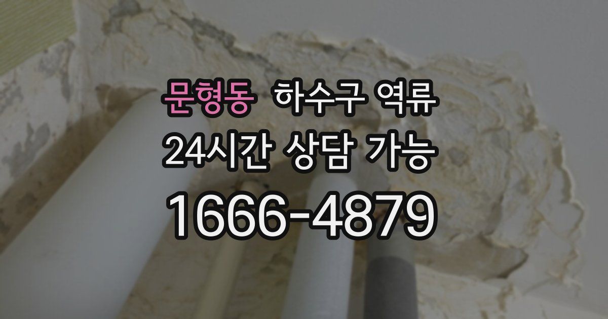 문형동 하수구 역류