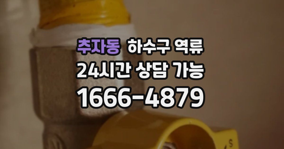 추자동 하수구 역류