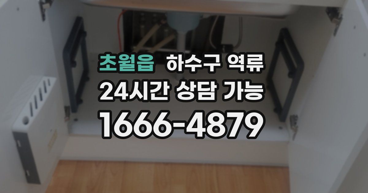 초월읍 하수구 역류