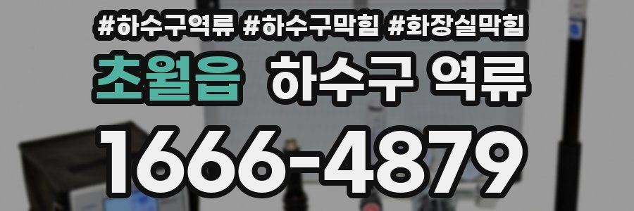 초월읍 하수구 역류